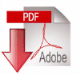 pdf-dokument-download-bei-bocs-unternehmensberatung-wien-medium.gif